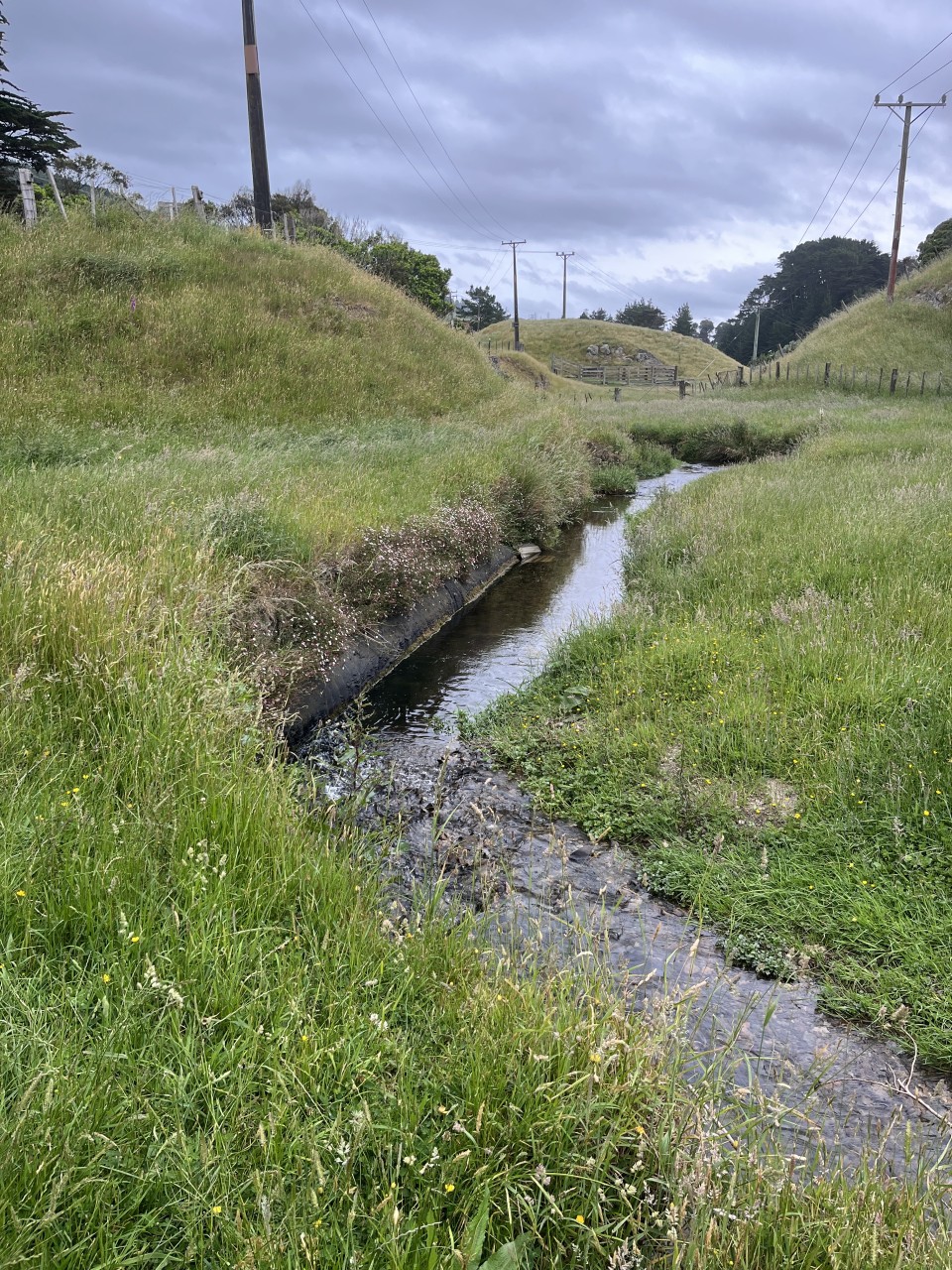 IMG 0455 (1)